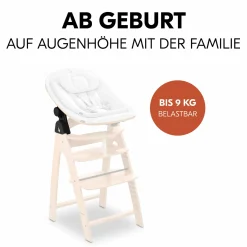 hauck Adapter Arketa* Hochstuhl Zubehör