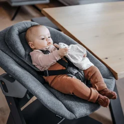 hauck Alpha Bouncer Premium Light grey* Hochstuhl Zubehör|Wippen