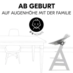 hauck Alpha Bouncer Premium Light grey* Hochstuhl Zubehör|Wippen