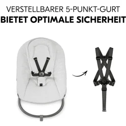 hauck Alpha Bouncer Premium Light grey* Hochstuhl Zubehör|Wippen