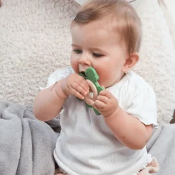 GRu00dcNSPECHT Beißring Schildkröte* Zahnungshilfen