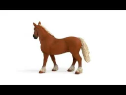 Schleich Belgische Zuchtstute*Kinder Lernspielzeug
