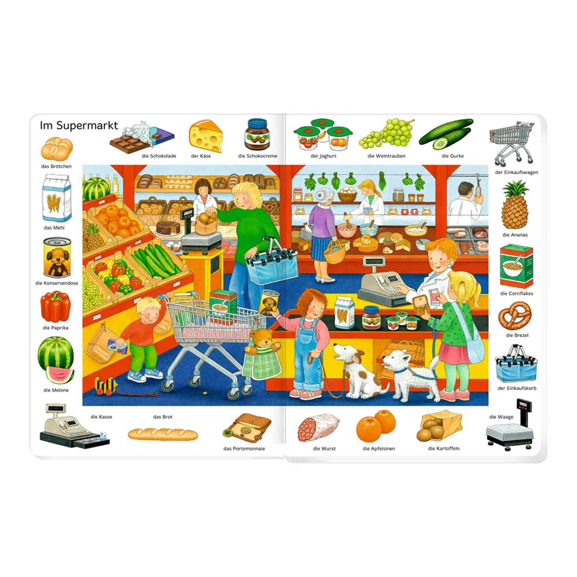 COPPENRATH Bilder suchen – Wörter finden*Kinder Kinderbücher