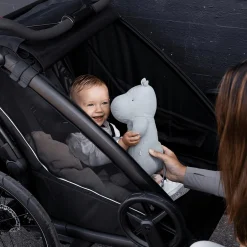 THULE Chariot Sport 2 Double Black* Fahrradanhänger