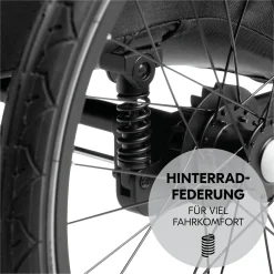 hauck Dryk Duo Plus Black* Fahrradanhänger
