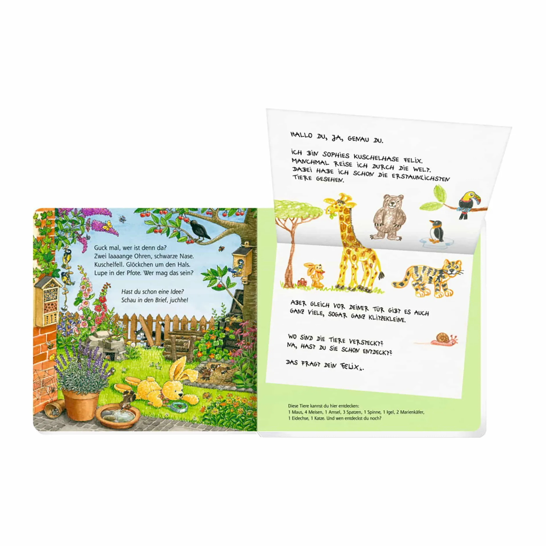 COPPENRATH Erste Briefe für Tier-Entdecker von Felix*Kinder Kinderbücher