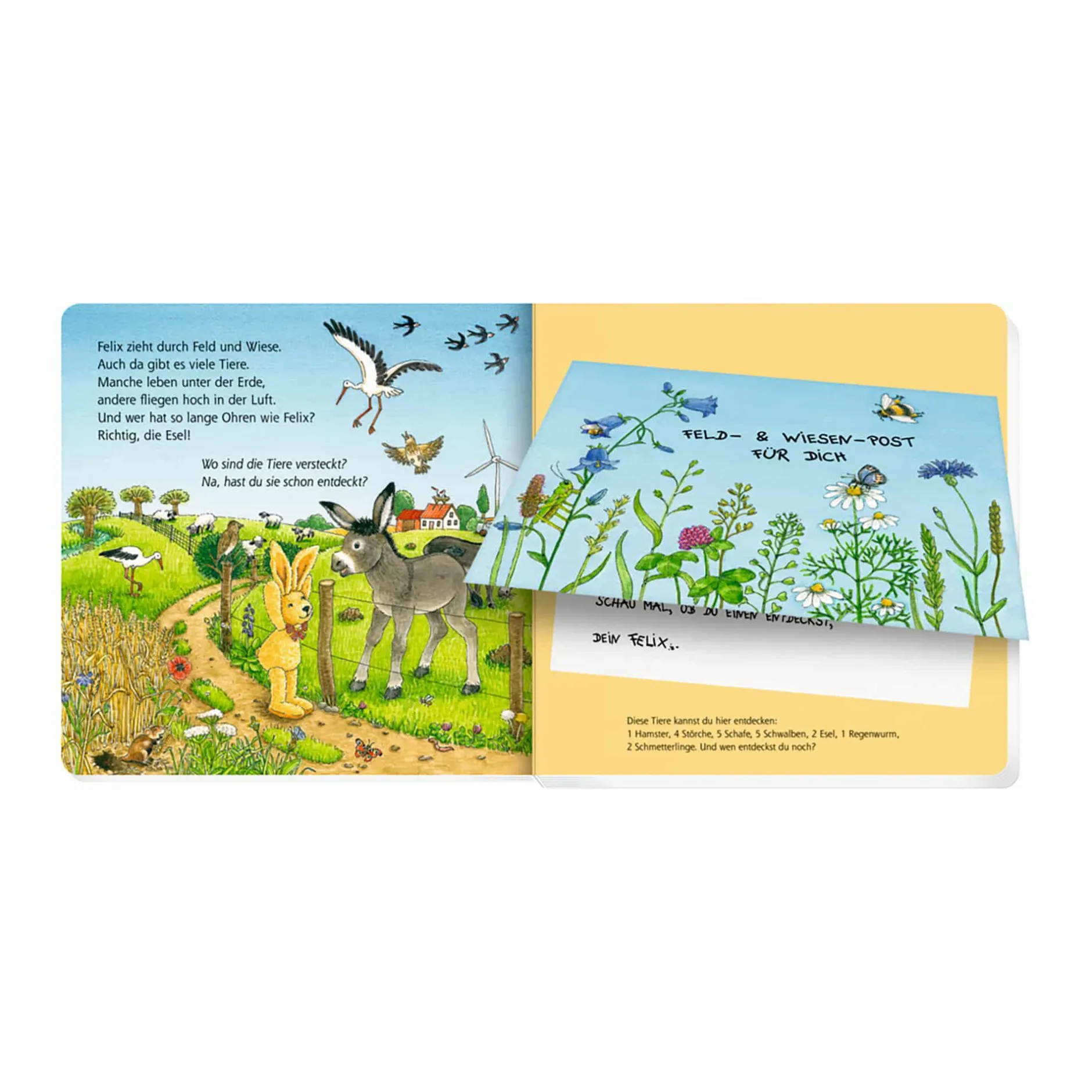 COPPENRATH Erste Briefe für Tier-Entdecker von Felix*Kinder Kinderbücher