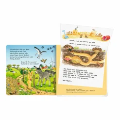 COPPENRATH Erste Briefe für Tier-Entdecker von Felix*Kinder Kinderbücher