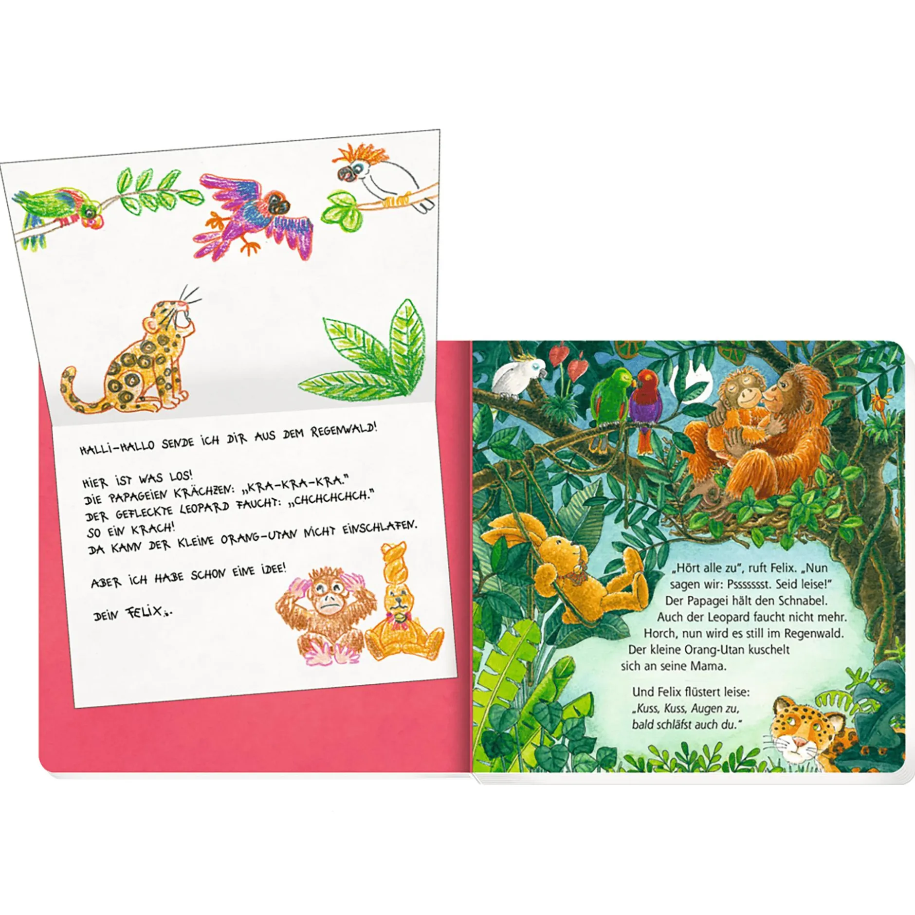 COPPENRATH Erste Gutenacht-Briefe von Felix*Kinder Kinderbücher