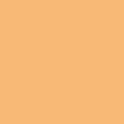 Alpina Farbenfreunde Fuchsorange Nr. 04* Deko & Accessoires