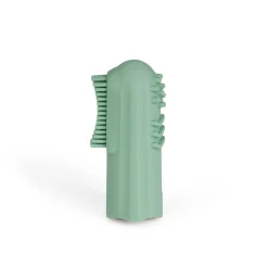 GRu00dcNSPECHT Fingerzahnbürste* Zahnbürsten