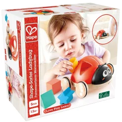 Hape Formensortierer Marienkäfer*Kinder Holzspielzeug