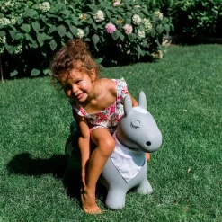 KINDSGUT Hüpftier Pony*Kinder Schaukeltiere|Spielzeug Ab 2 Jahre