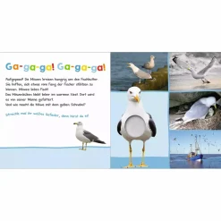 arsEdition Hör mal rein am Meer*Kinder Kinderbücher
