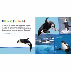 arsEdition Hör mal rein am Meer*Kinder Kinderbücher