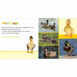arsEdition Hör mal rein, wer kann das sein? In der Natur*Kinder Kinderbücher