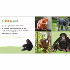 arsEdition Hör mal rein, wer kann das sein? Zootiere*Kinder Kinderbücher