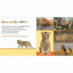 arsEdition Hör mal rein, wer kann das sein? Zootiere*Kinder Kinderbücher