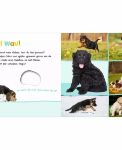 arsEdition Hör mal rein, wer kann das sein? Tierkinder*Kinder Kinderbücher
