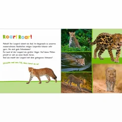 arsEdition Hör mal rein, wer kann das sein? Im Dschungel*Kinder Kinderbücher