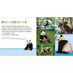 arsEdition Hör mal rein, wer kann das sein? Im Dschungel*Kinder Kinderbücher