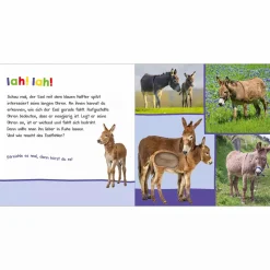 arsEdition Hör mal rein, wer kann das sein? Auf der Weide*Kinder Kinderbücher