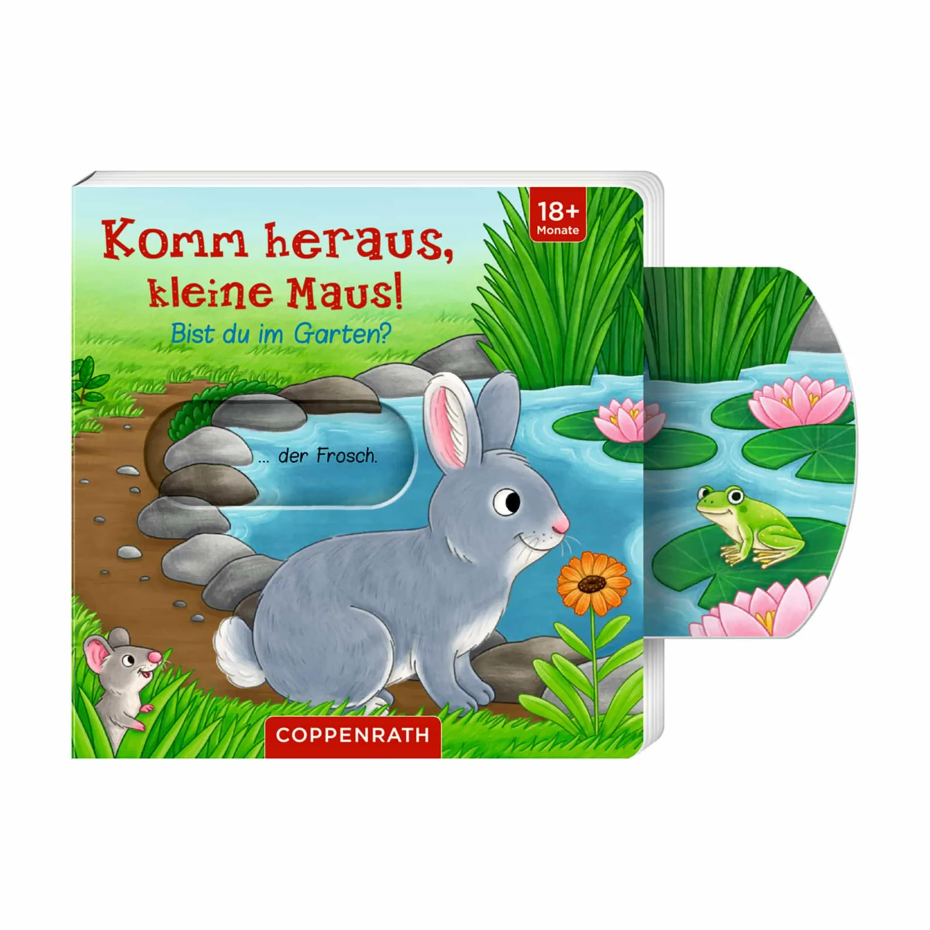 COPPENRATH Komm heraus, kleine Maus! Bist du im Garten?*Kinder Kinderbücher