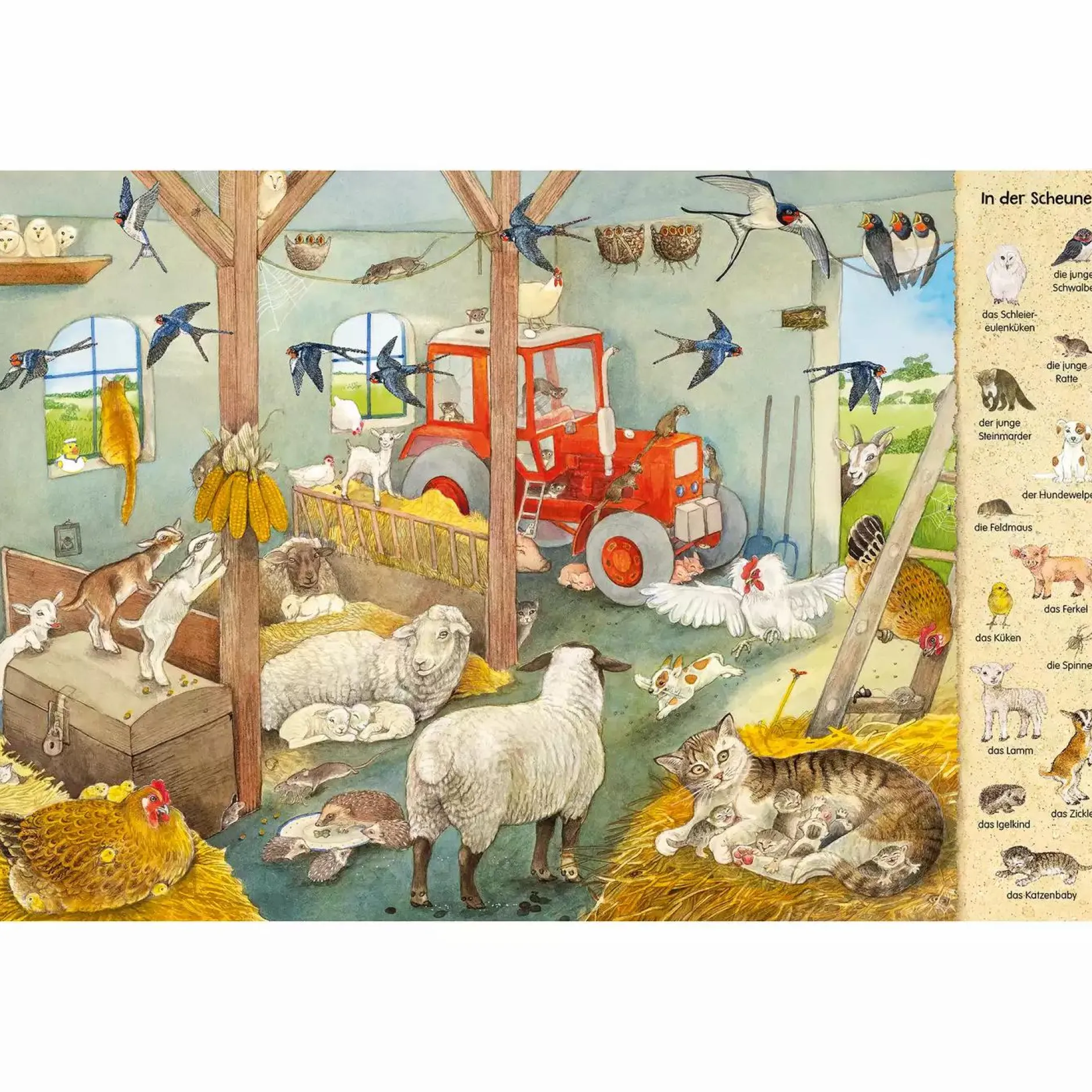 ess!inger Mein erstes Wimmelbuch: Tierkinder*Kinder Kinderbücher|Spielzeug Ab 3 Jahren