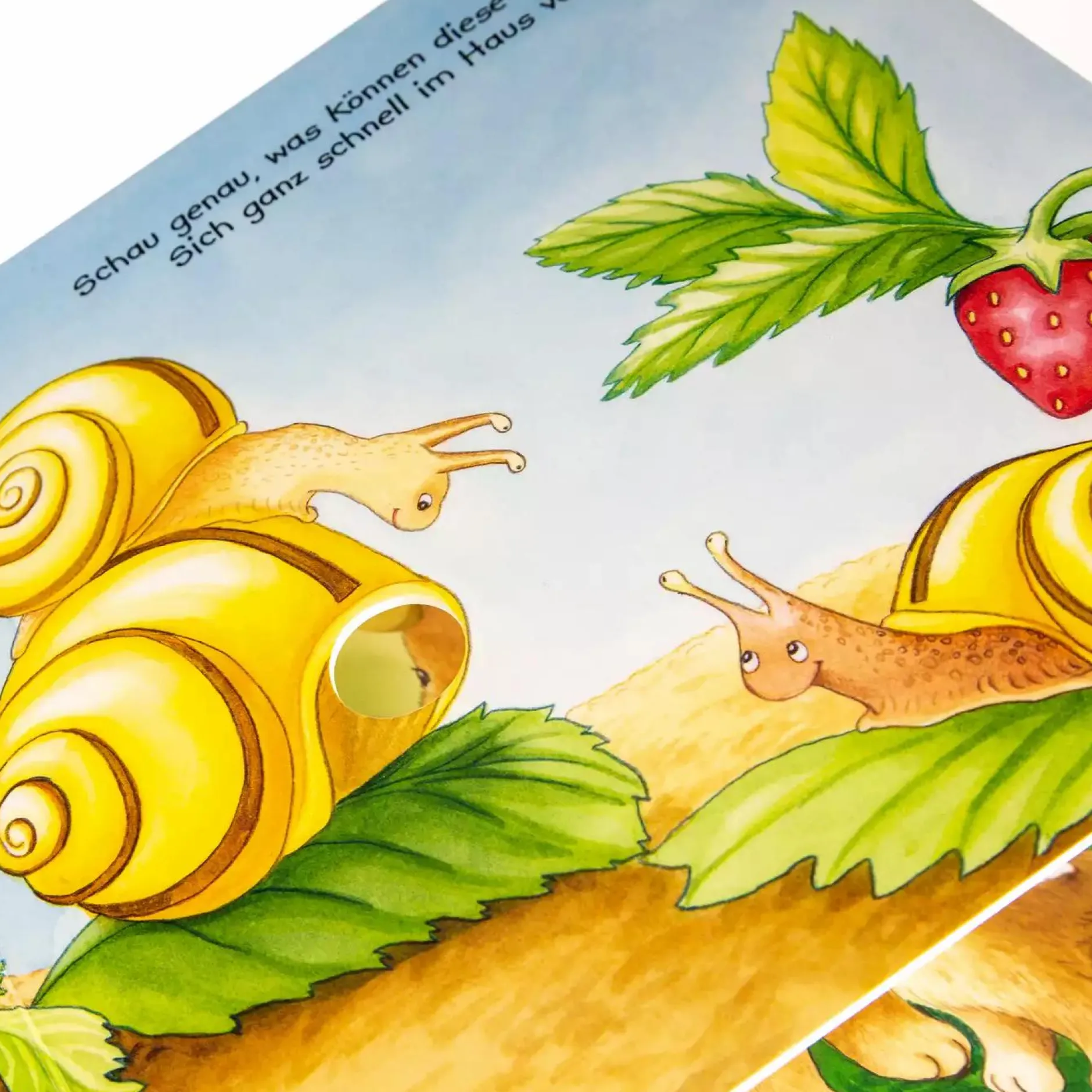 CARLSEN Mein großes Fingerspielbuch*Kinder Kinderbücher