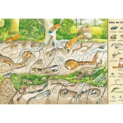 ess!inger Mein großes Natur-Wimmelbuch*Kinder Kinderbücher|Spielzeug Ab 3 Jahren