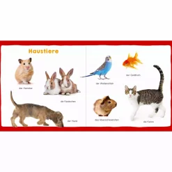 arsEdition Meine ersten 100 Tiere*Kinder Kinderbücher