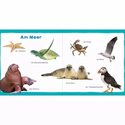 arsEdition Meine ersten 100 Tiere*Kinder Kinderbücher