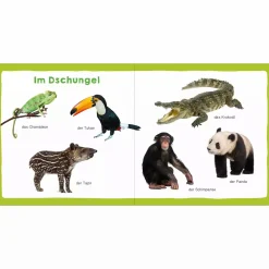 arsEdition Meine ersten 100 Tiere*Kinder Kinderbücher