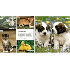 COPPENRATH Meine liebsten Tierbabys*Kinder Kinderbücher