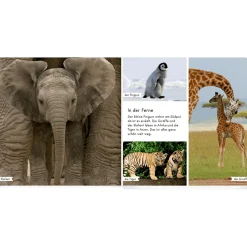 COPPENRATH Meine liebsten Tierbabys*Kinder Kinderbücher