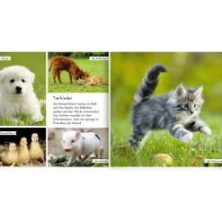 COPPENRATH Meine liebsten Tiere auf dem Bauernhof*Kinder Kinderbücher