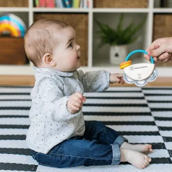 Hape Mini Tambourin*Kinder Holzspielzeug|Musik