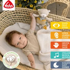 fehn Mini-Spieluhr Bär* Spieluhren