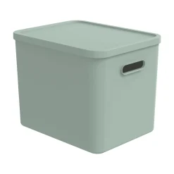 rotho Babydesign Multi Box L Kayo Grün* Deko & Accessoires