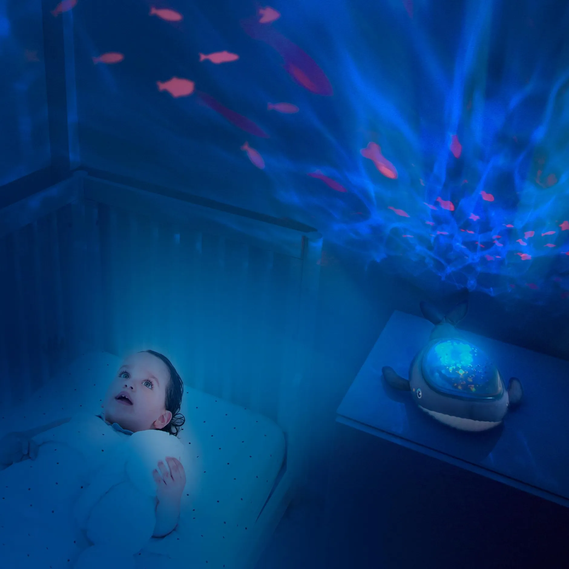 Angelcare Nachtlicht Pabobo Aqua Dream* Nachtlichter|Spieluhren