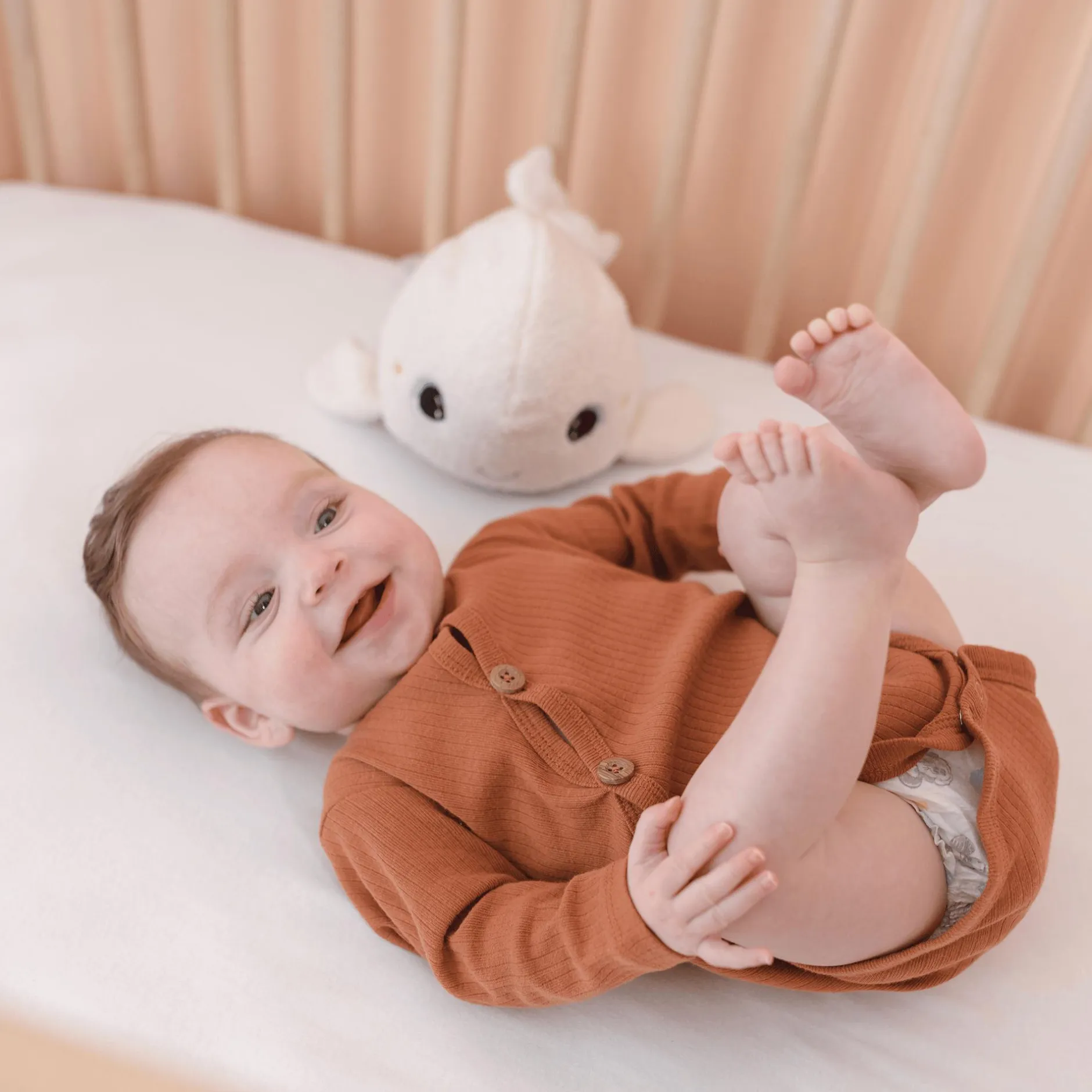 Angelcare Nachtlicht Pabobo Beluga* Nachtlichter|Spieluhren