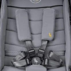 Storchenmu00fchle Niko Asphalt*Kinder Buggys