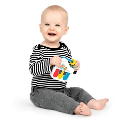 baby einstein Petit Piano Musikspielzeug*Kinder Musik