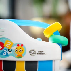 baby einstein Petit Piano Musikspielzeug*Kinder Musik