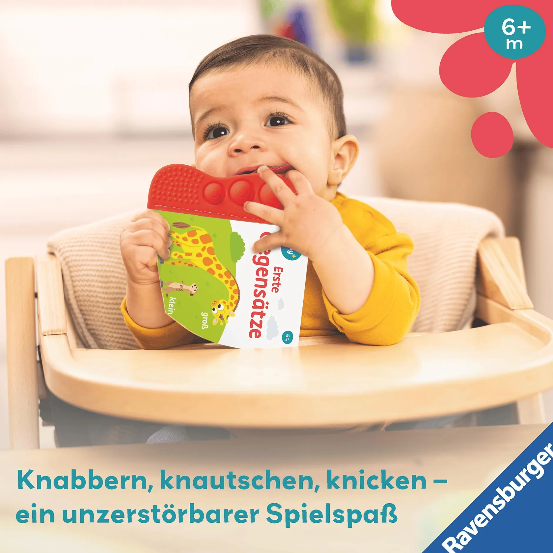 Ravensburger Play+ flip & pop: Erste Gegensätze*Kinder Zahnungshilfen|Kinderbücher