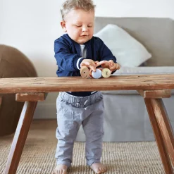 Hape Rennschildkröte Rike*Kinder Zahnungshilfen|Holzspielzeug