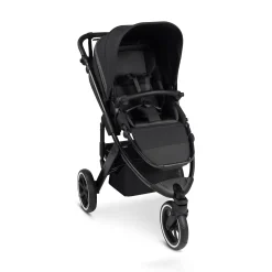 ABC DESIGN Salsa 5 Run Coal*Kinder Buggys