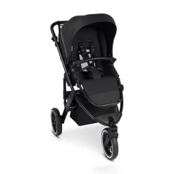 ABC DESIGN Salsa 5 Run Coal*Kinder Buggys