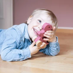 KINDSGUT Schiebetier T-Rex*Kinder Holzspielzeug