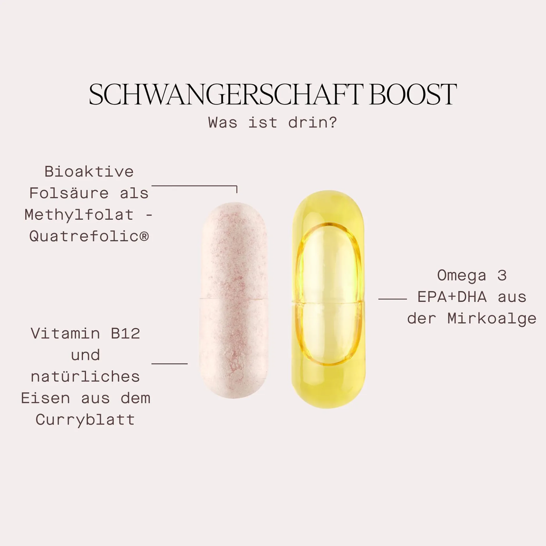 Lunary Schwangerschaft Boost* Hausapotheke|Nahrungsergänzung & Vitamine